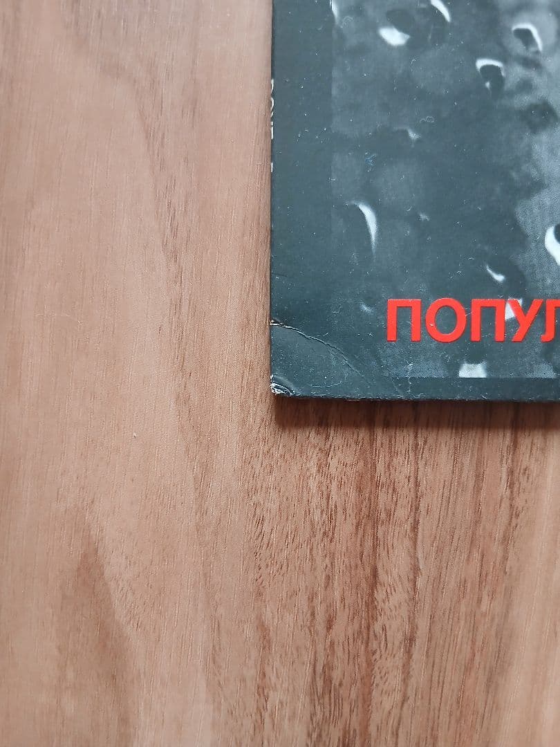 洋楽 Popular Mechanics - Insect Culture LP