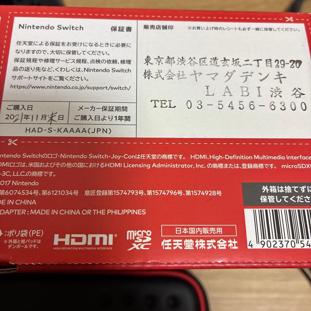 Switch Nintendo Switch グレー　携帯ケース付