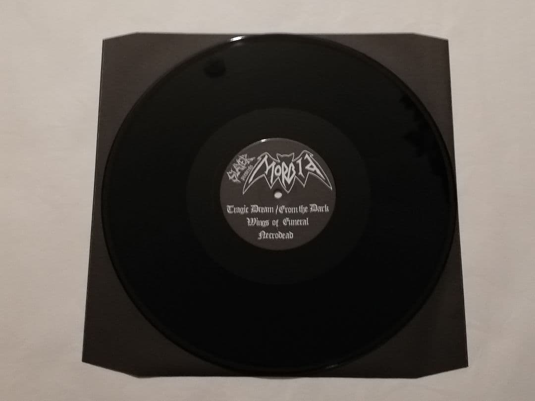 限定LP ポスター付 SLAYER 20号 ファンジン 2010年 記念号