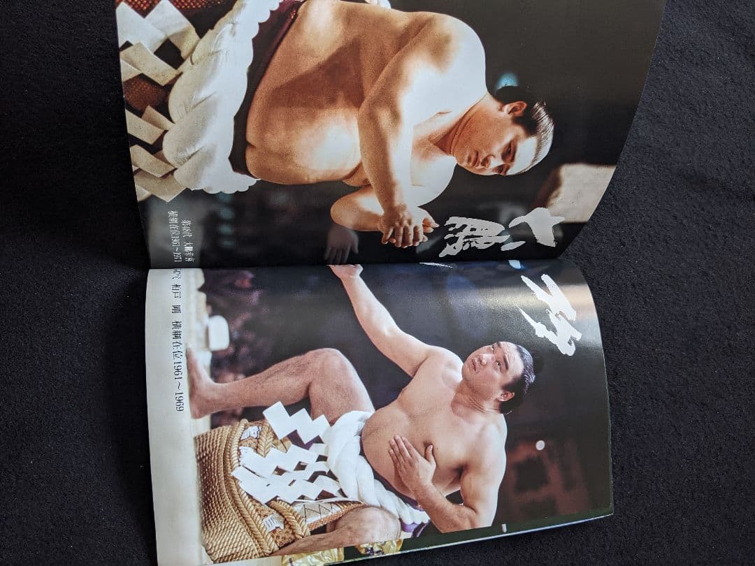 歴代横綱71人　双葉山　大鵬　輪島　北の湖　千代の富士　曙　貴乃花　若乃花　白鵬