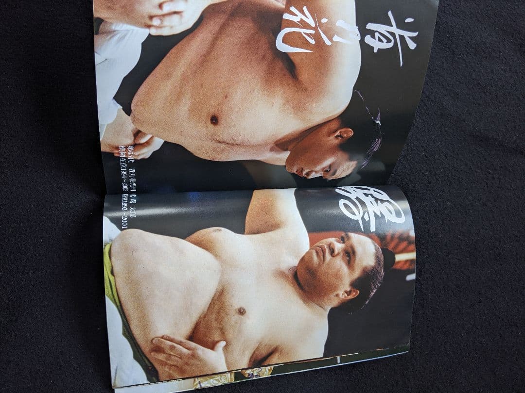 歴代横綱71人　双葉山　大鵬　輪島　北の湖　千代の富士　曙　貴乃花　若乃花　白鵬