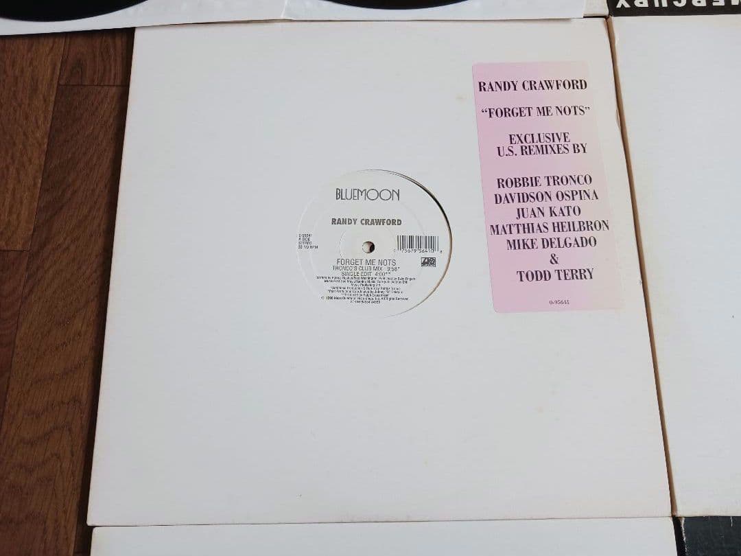 90's HOUSE MUSIC《レコード》12インチ盤9枚セット