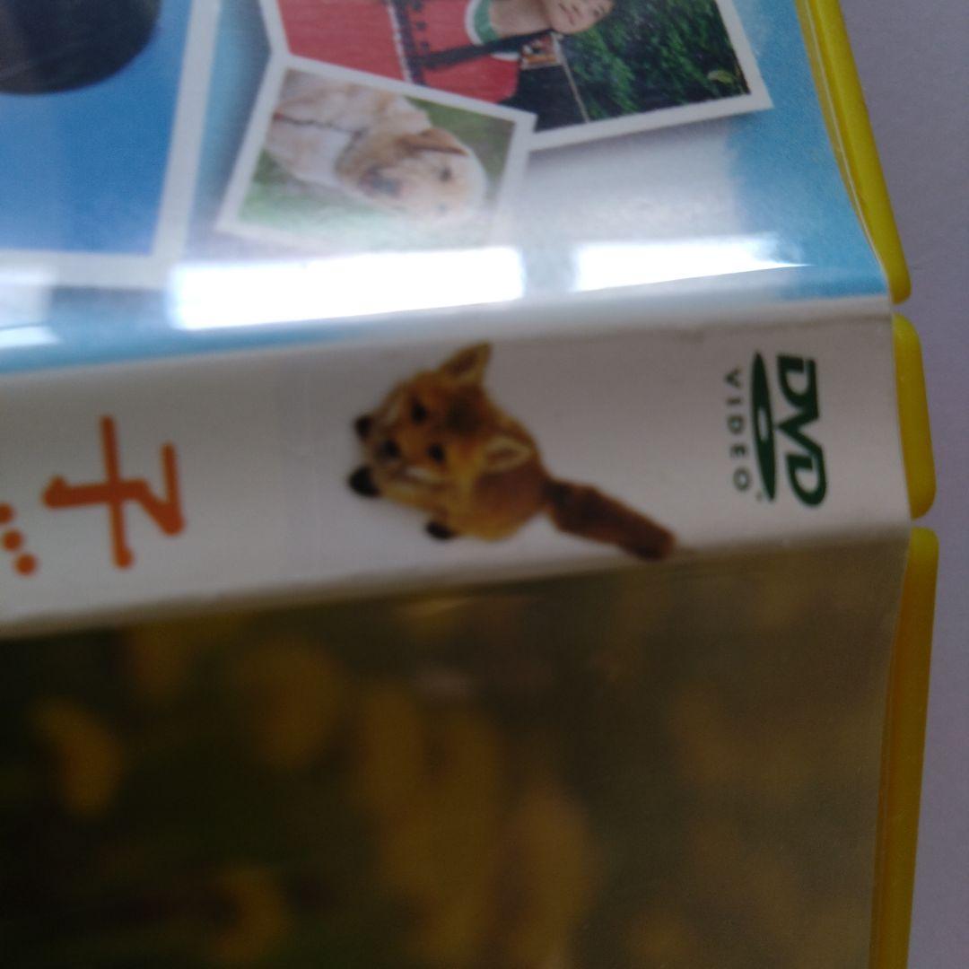 子ぎつねヘレン dvd 大沢たかお　松雪泰子