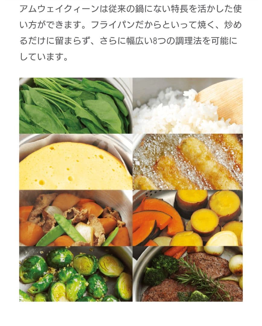 Amway アムウェイ クイーン ウォック 網2枚　現行品