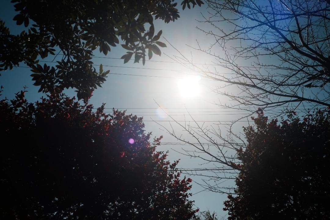 【ライカ】動作◎ Minolta M-ROKKOR 40mm F2 828