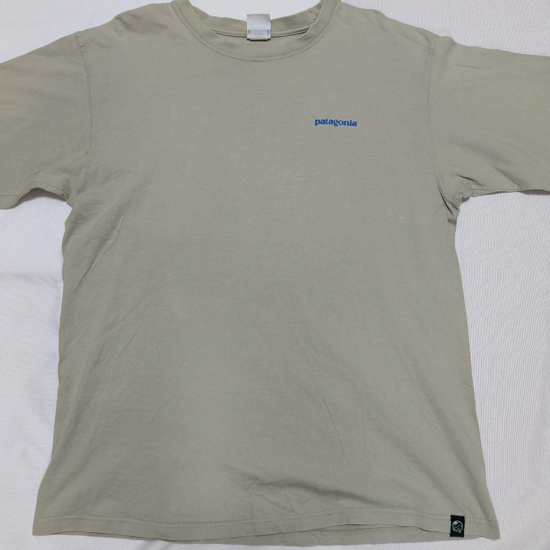 patagonia パタゴニア Beneficial T's ビーチ Tシャツ