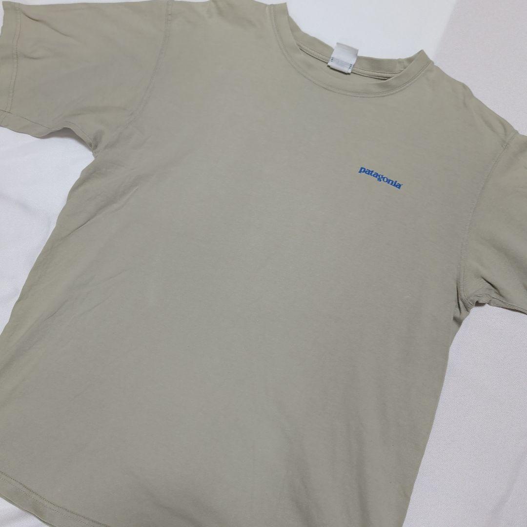 patagonia パタゴニア Beneficial T's ビーチ Tシャツ