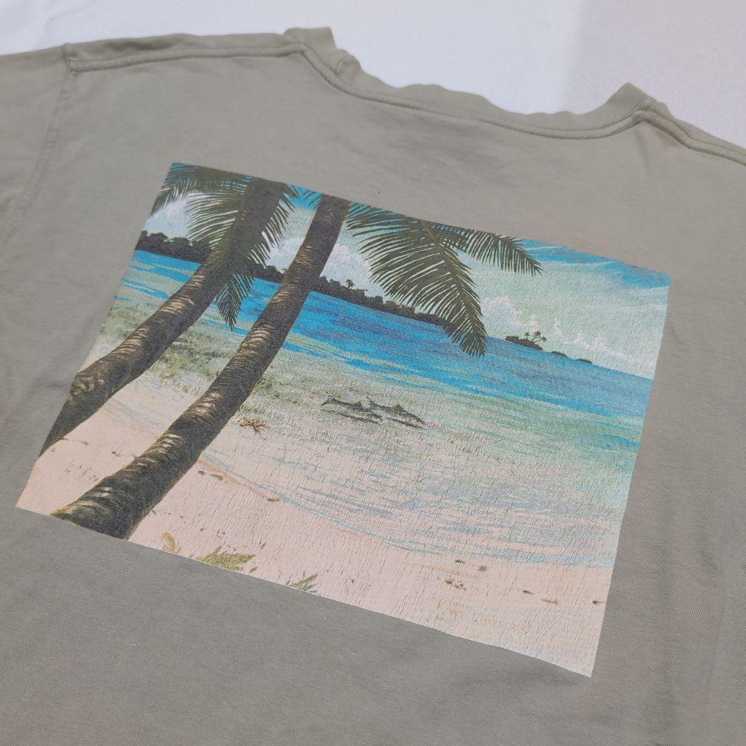 patagonia パタゴニア Beneficial T's ビーチ Tシャツ