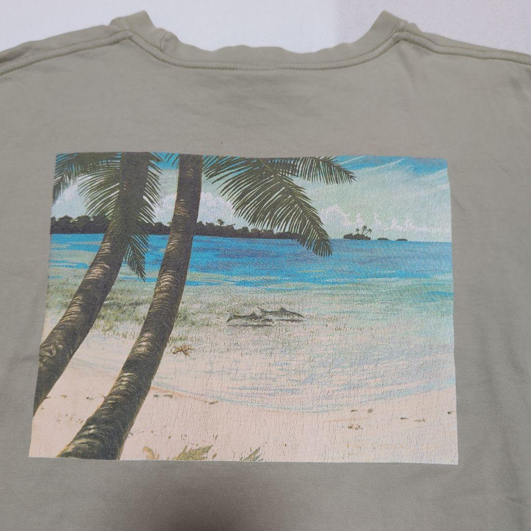patagonia パタゴニア Beneficial T's ビーチ Tシャツ