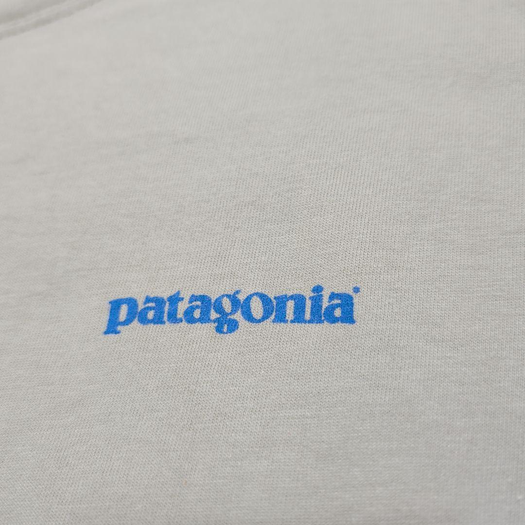 patagonia パタゴニア Beneficial T's ビーチ Tシャツ