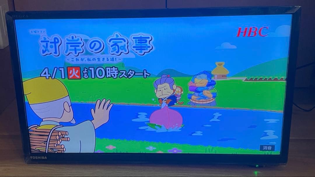 TOSHIBA REGZA レグザ テレビ 19S22 2019年製