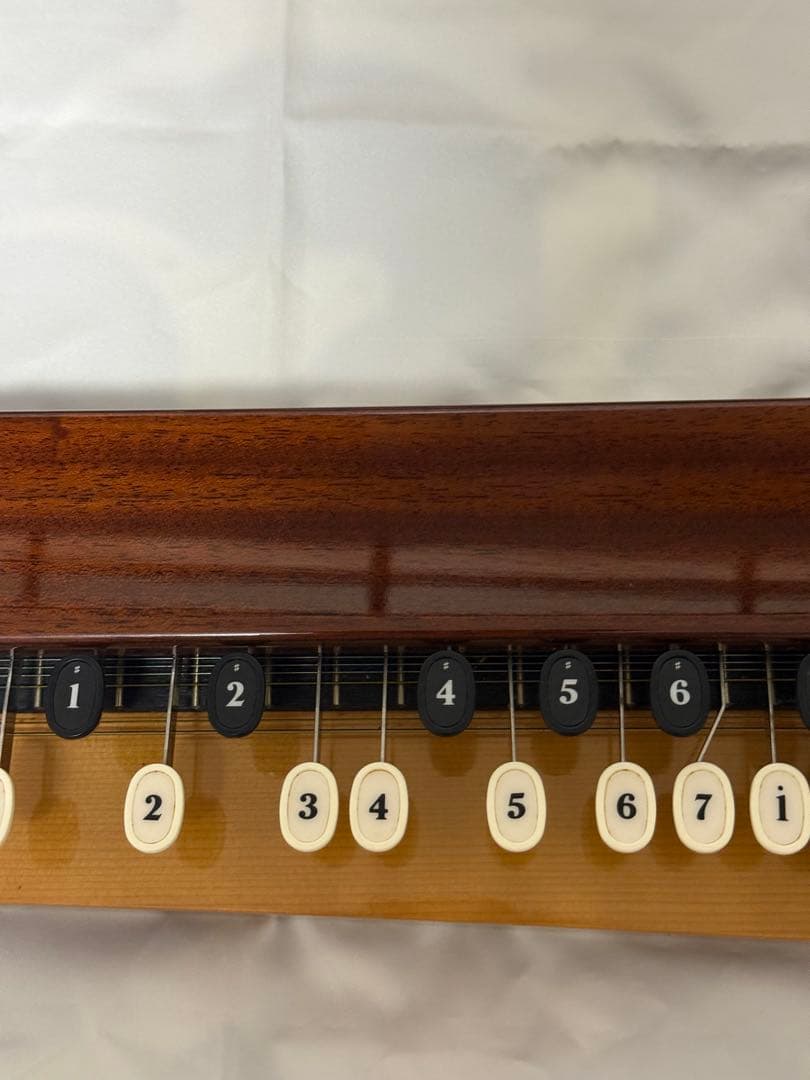 ひ*ん様 YAMAHA 大正琴 TH-10E