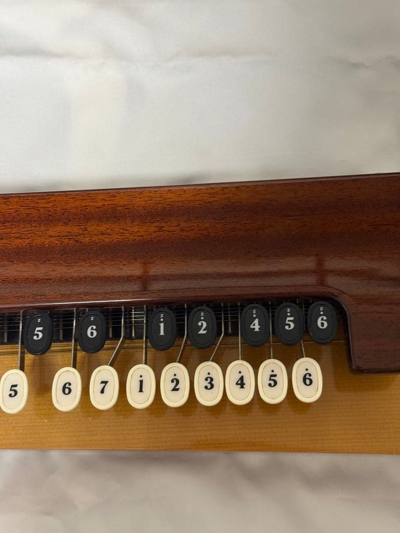 ひ*ん様 YAMAHA 大正琴 TH-10E