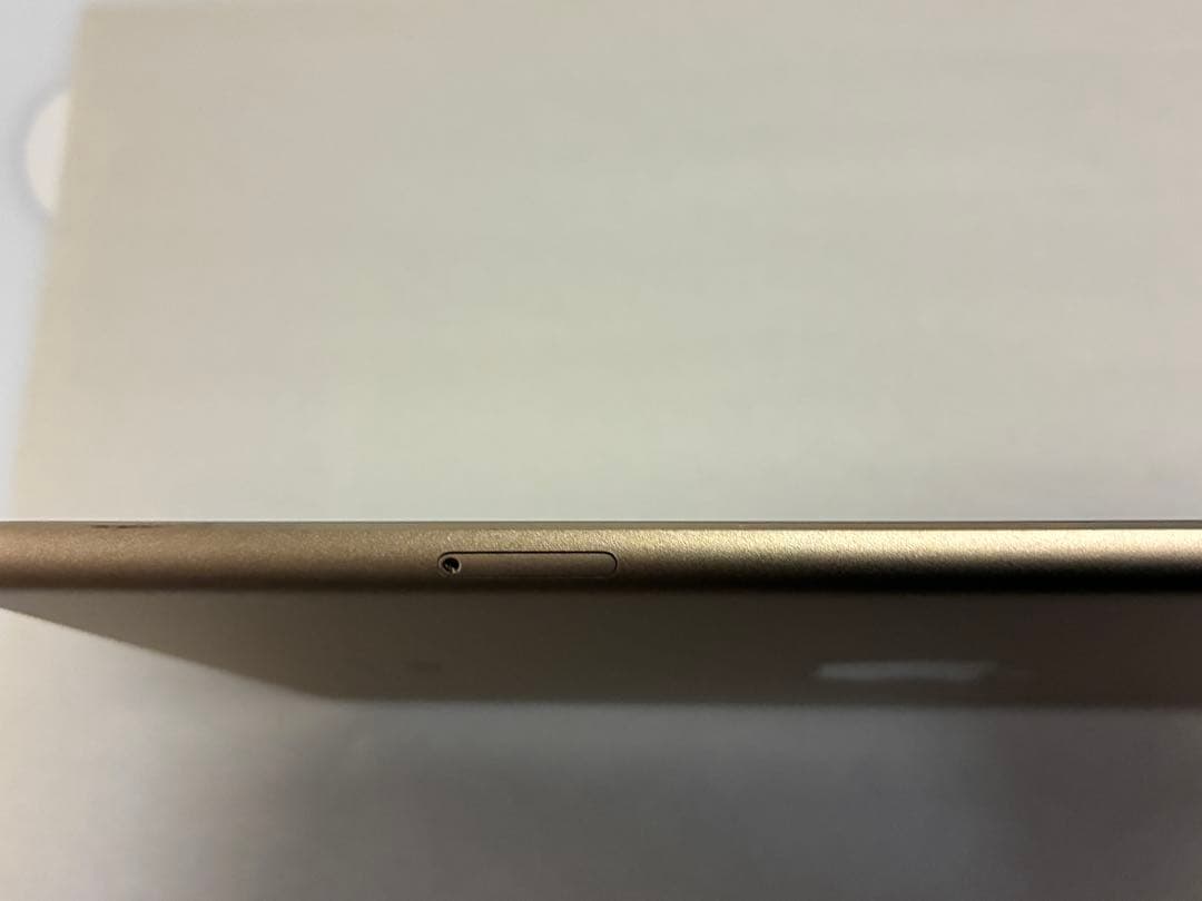 【美品・動作不良なし】iPad mini 4 cellular 64GB