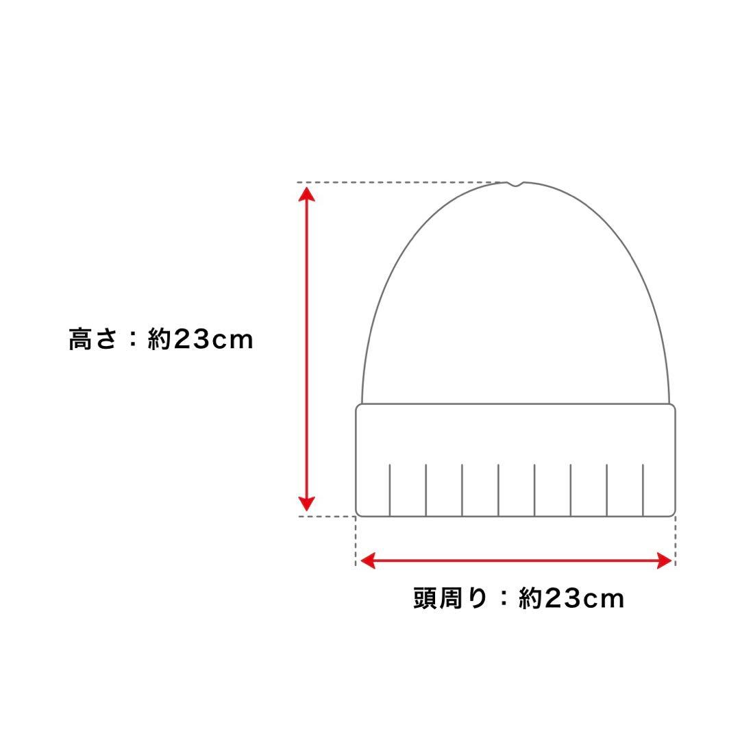 【早い者勝ち】stussy newera LA skullcap beanie