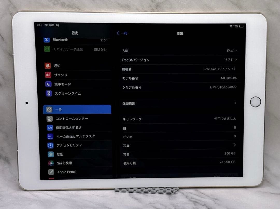 iPad Pro 9.7インチ256GB セルラーモデル