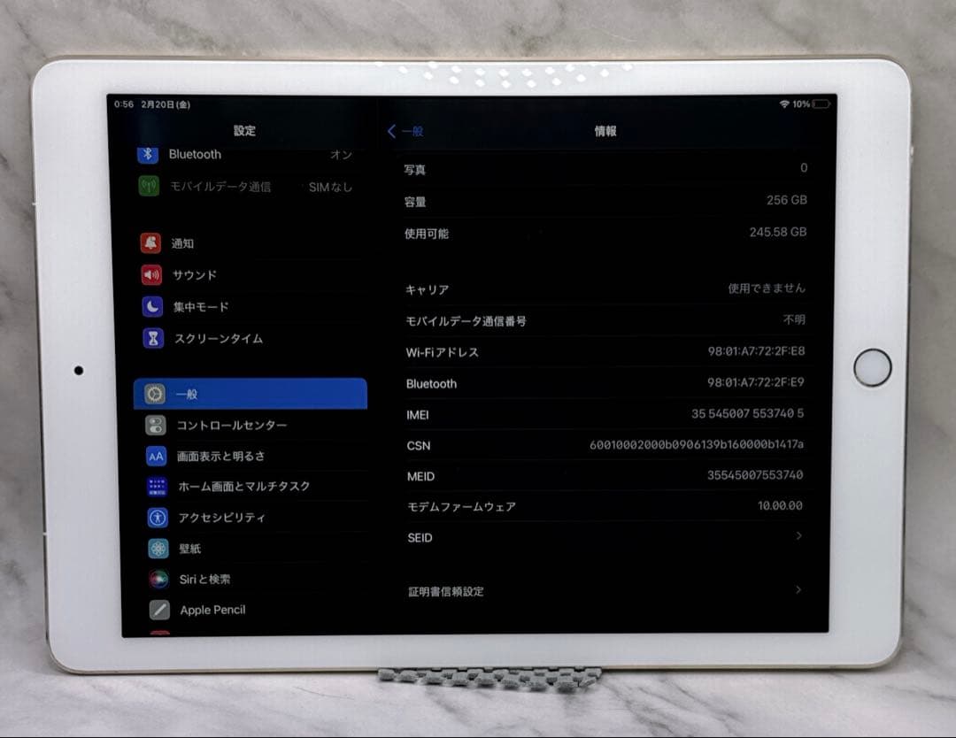 iPad Pro 9.7インチ256GB セルラーモデル