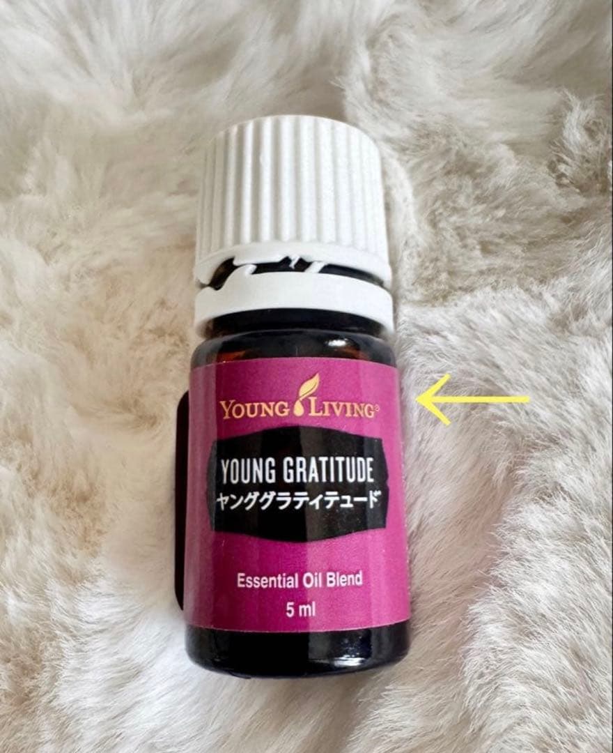 ハイエスト ポテンシャル Young Gratitude ワイエルチャイルド
