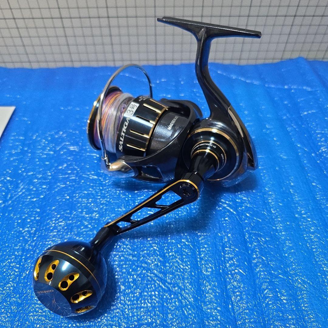 ダイワ(DAIWA) 23ソルティガ 6000-P