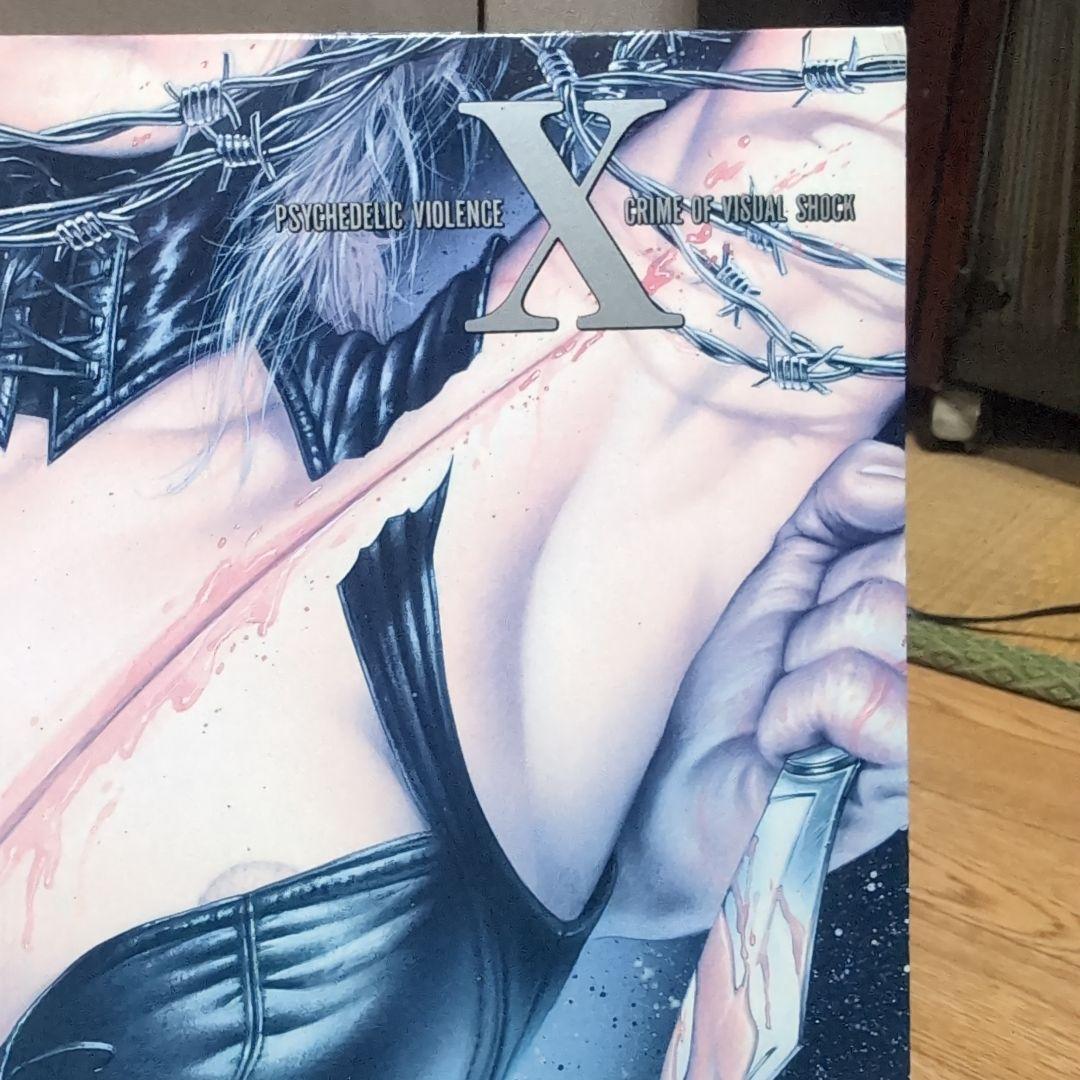 X Vanishing Vision LP レコード