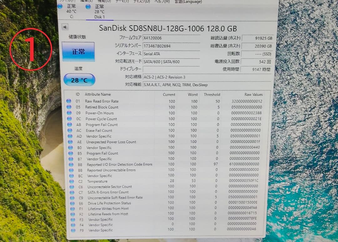 SATA m.2 2280 SSD 128GB×10枚 ★34