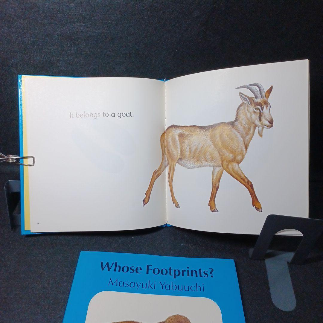 457_洋書/絵本「Whose Footprints?」