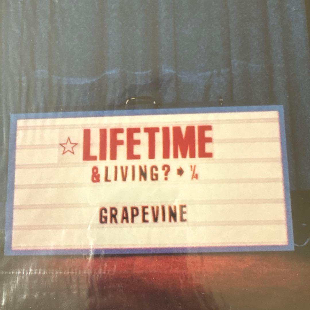 新品　グレイプバイン　GRAPEVINE LIFE TIME レコード