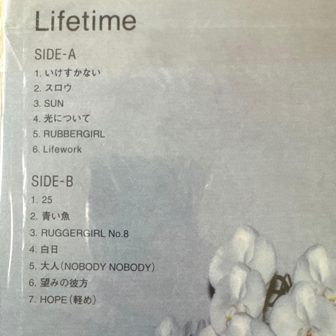 新品　グレイプバイン　GRAPEVINE LIFE TIME レコード