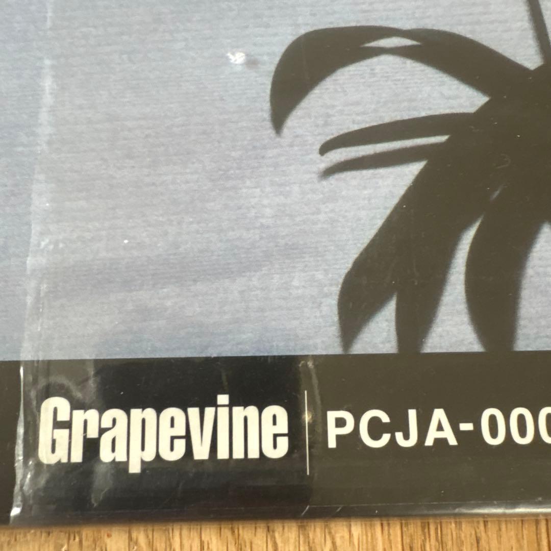 新品　グレイプバイン　GRAPEVINE LIFE TIME レコード
