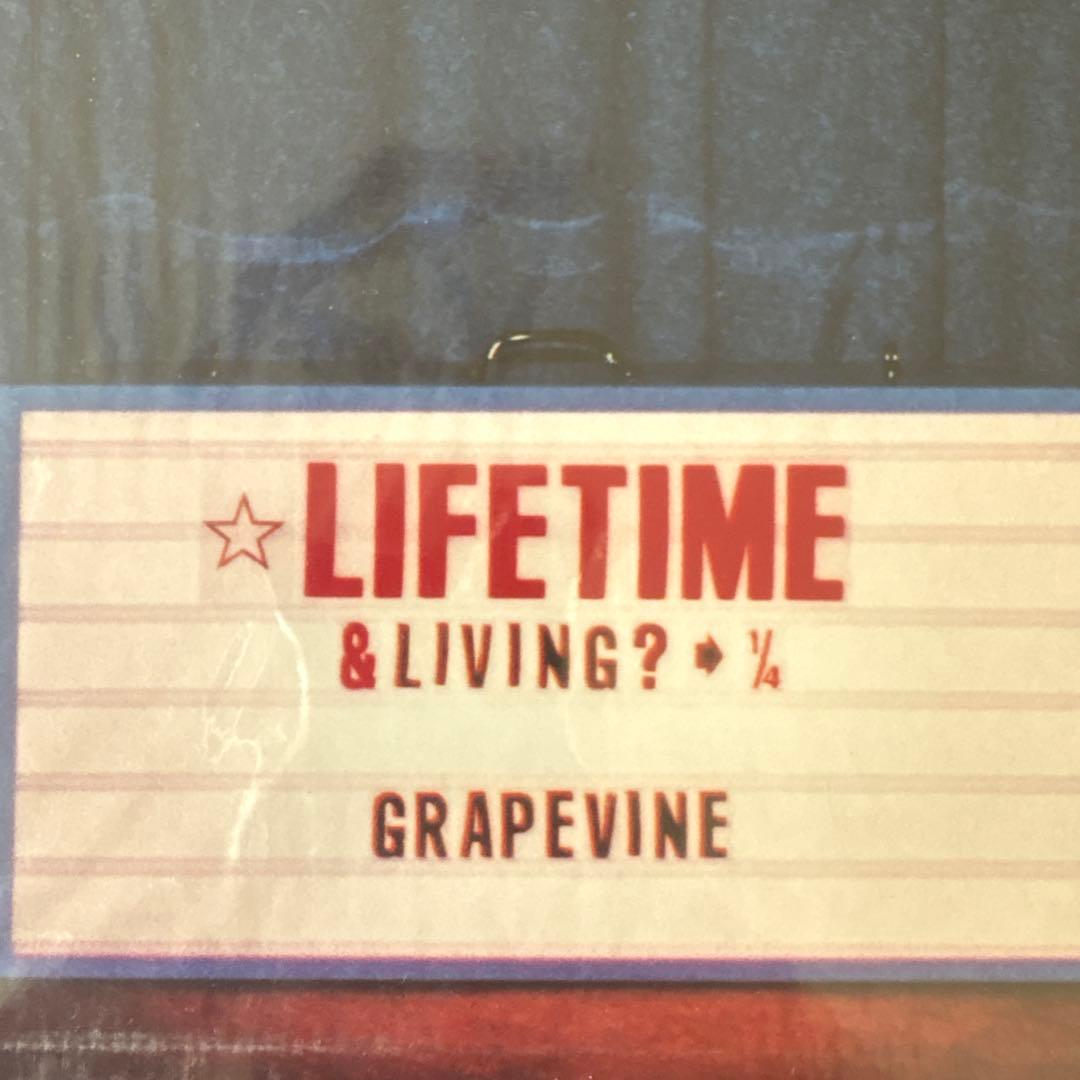 新品　グレイプバイン　GRAPEVINE LIFE TIME レコード