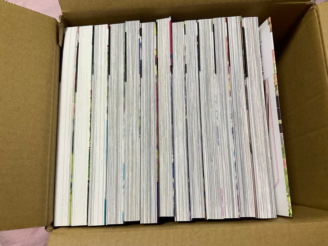 ある日、お姫様になってしまった件にについて　全巻セット 1-13巻