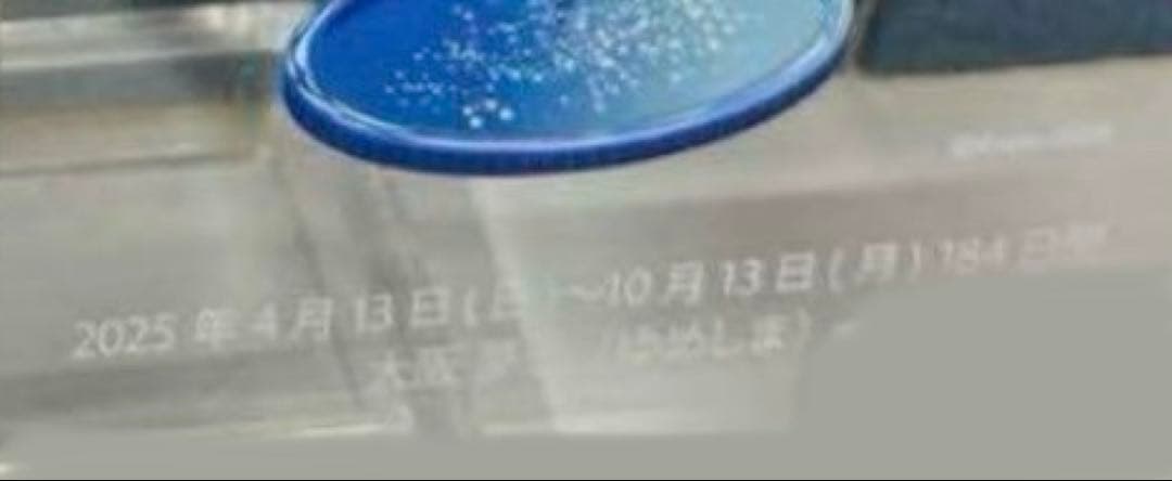 万博 ガラスフォトフレーム【噴水】ミャクミャク 写真立て 万博