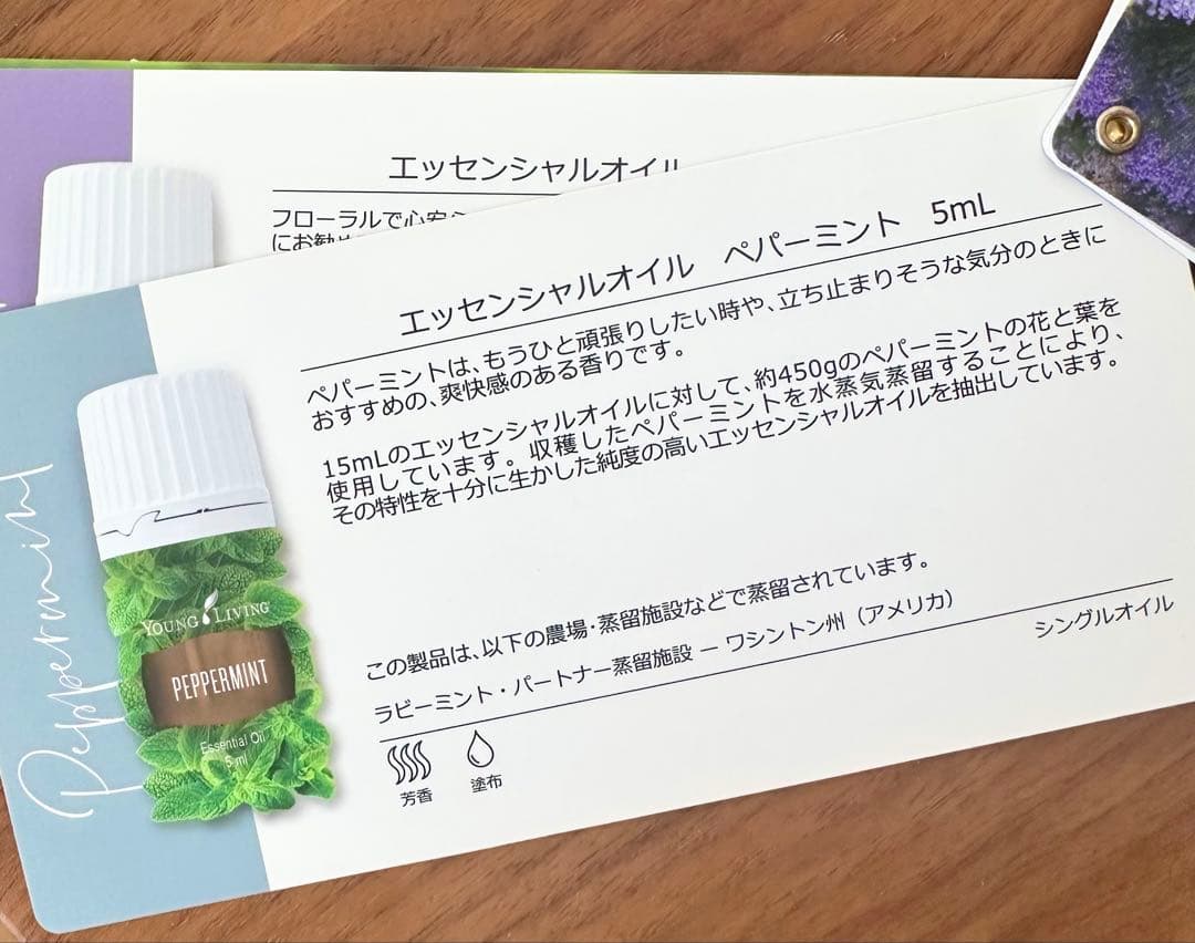 やすやす✳︎Young Living プレミアムキット10本/V6オイル