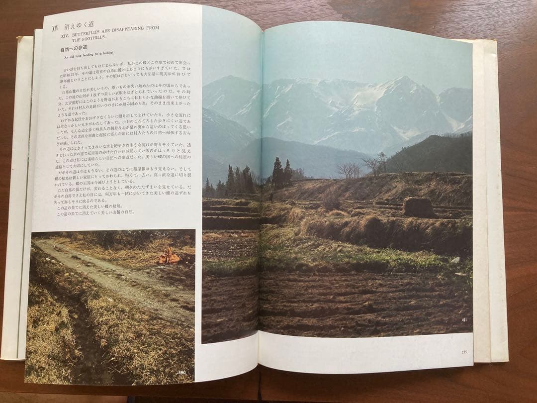 ギフチョウ・ヒメギフチョウ　田淵行男　講談社　生態写真　蝶　写真集