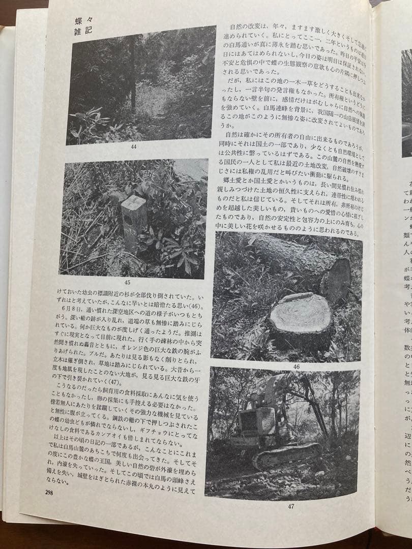 ギフチョウ・ヒメギフチョウ　田淵行男　講談社　生態写真　蝶　写真集