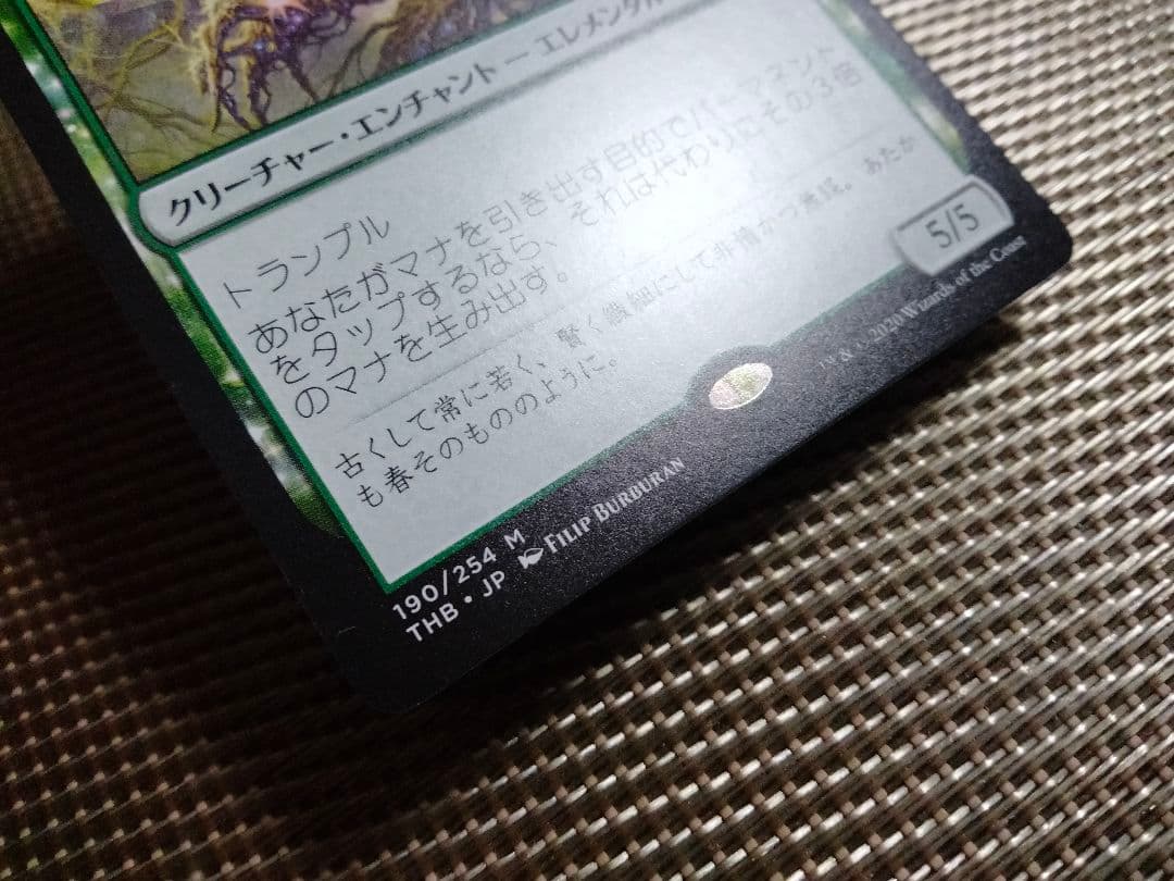【ご確認用】テーロス還魂記 ニクス咲きの古きもの 日本語 1枚　MTG