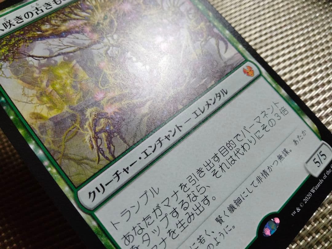 【ご確認用】テーロス還魂記 ニクス咲きの古きもの 日本語 1枚　MTG
