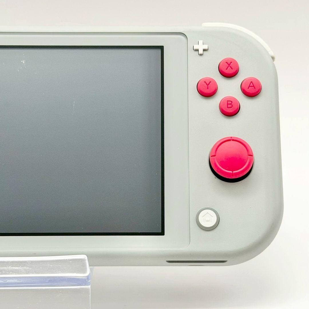 【動作確認済み】Switch Lite シアン マゼンタ　本体　Nintendo