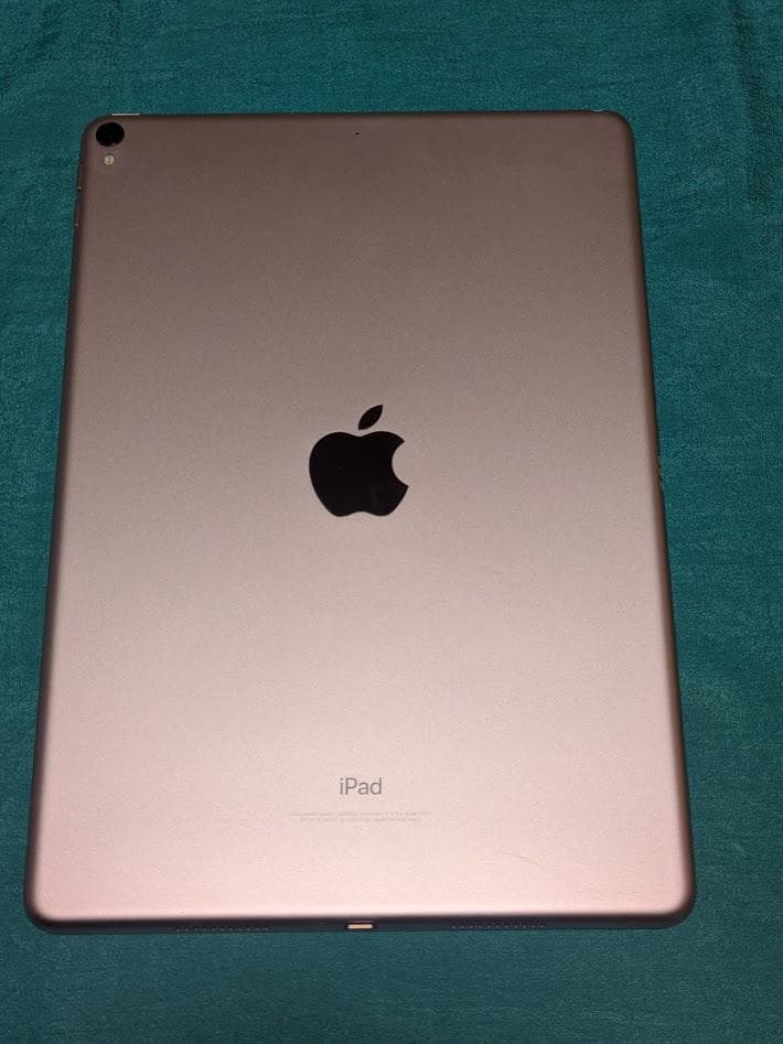 Apple iPad pro 10.5 256GB A1701 元箱 純正電源