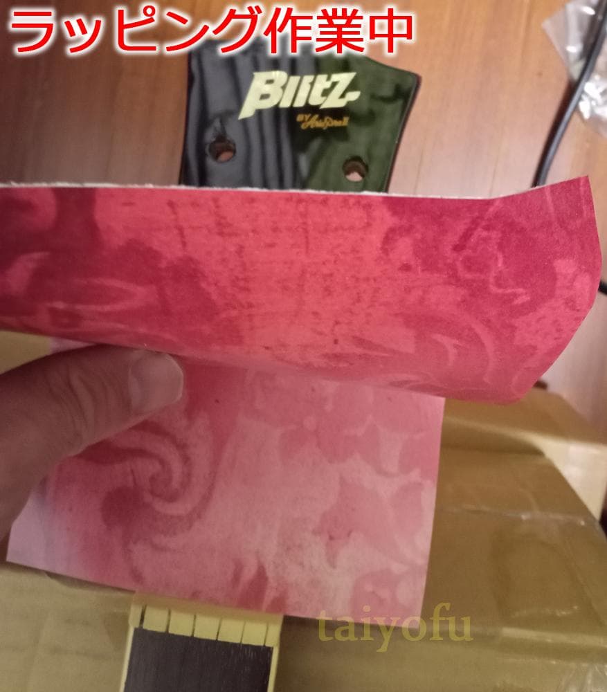 BLITZ by Aria Pro2 SG ラッピング #6