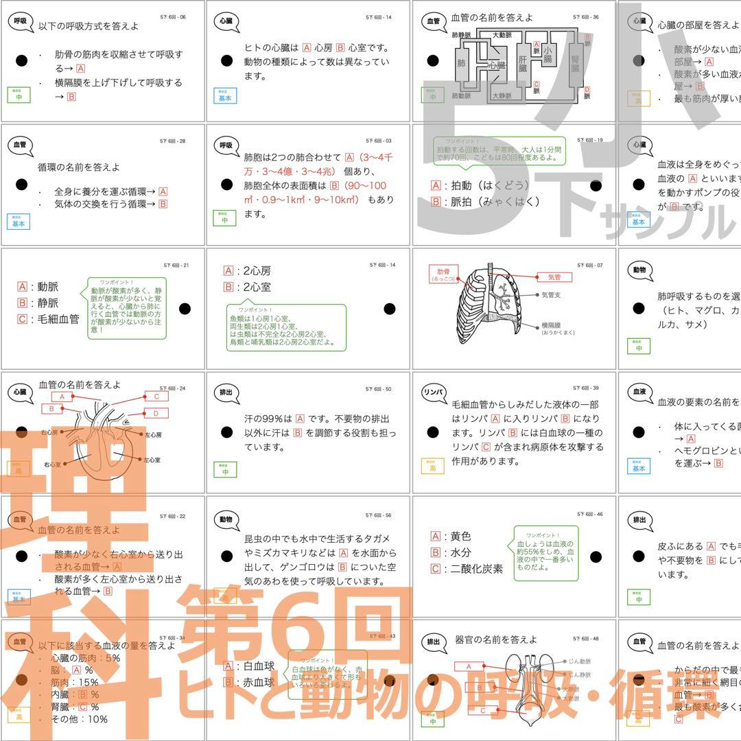 中学受験 暗記カード【5年下 理社国6-9回】 予習シリーズ 組み分け対策