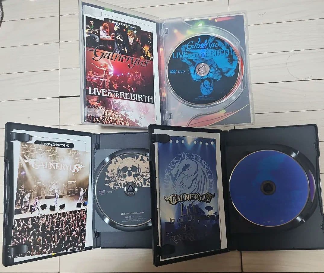 GALNERYUS/CD10枚　DVD3枚(ワンオーナー品)