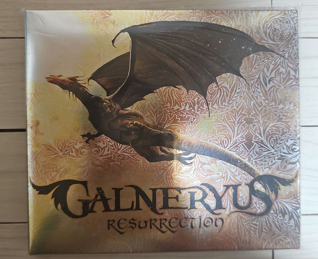 GALNERYUS/CD10枚　DVD3枚(ワンオーナー品)