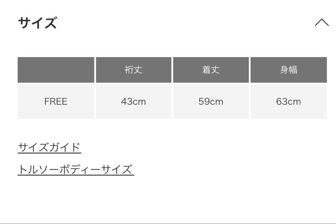 【美品】かぐれ サカリバーフレンチスリーブ 2025春夏　半袖トップス グレー
