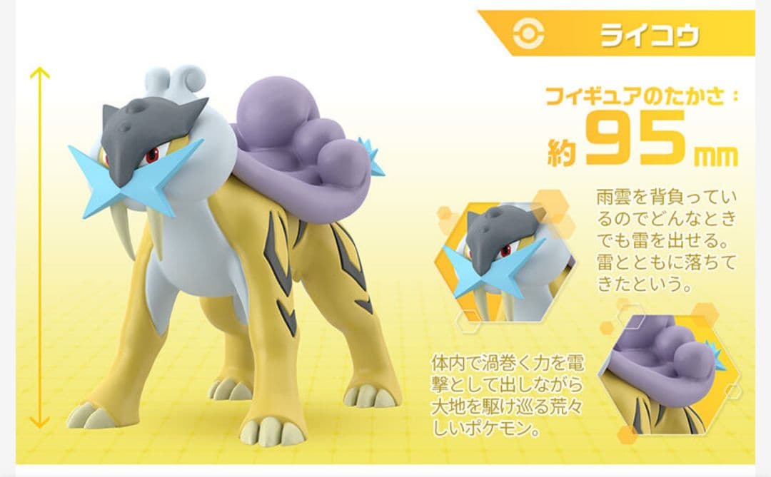 ポケモンスケールワールド ジョウト地方 ライコウ＆エンテイ＆スイクン