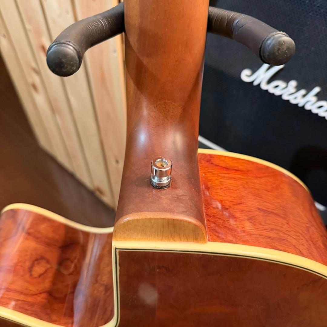 WARWICK WAC1574 エレアコベース