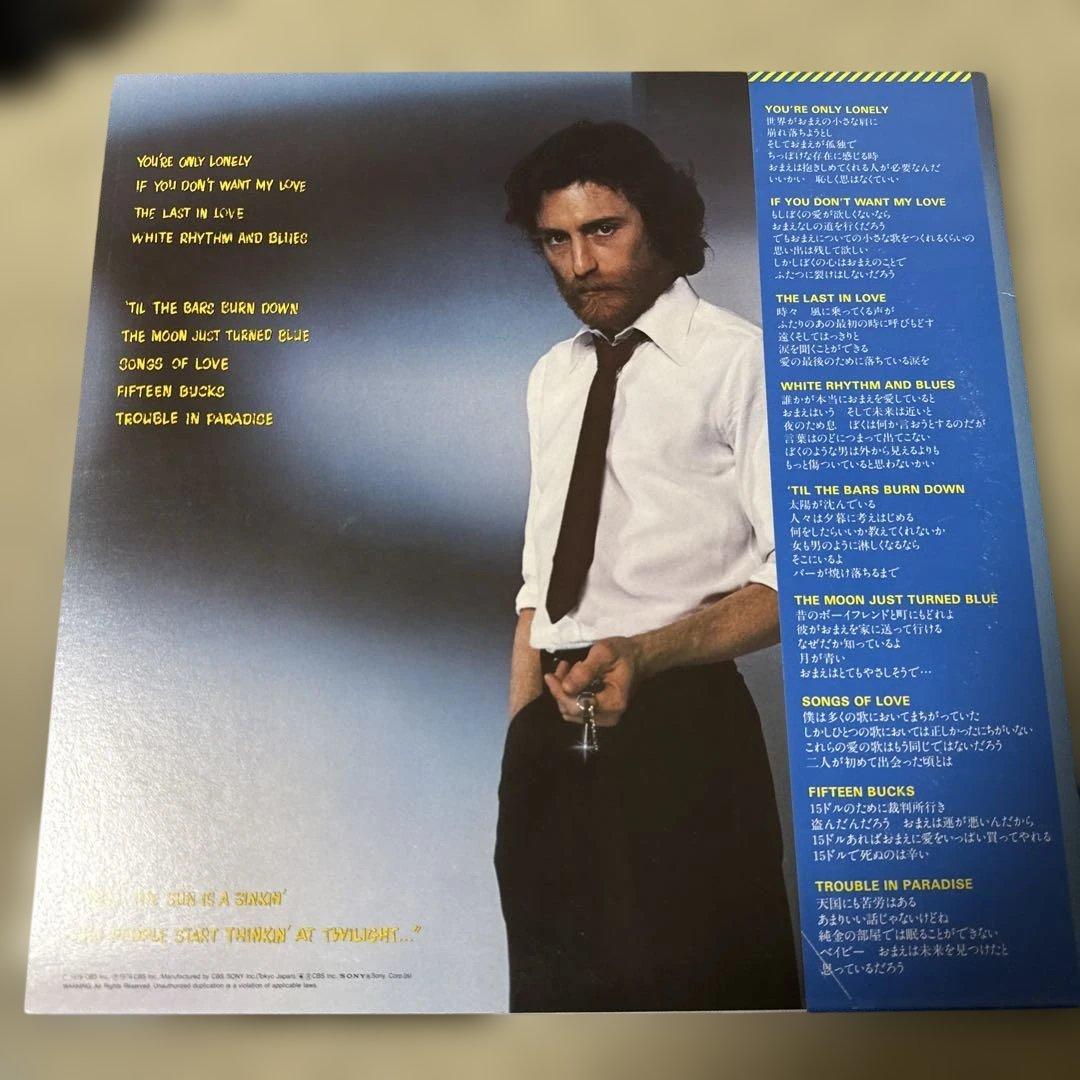 ジョン・デヴィッド・サウザー John David Souther 国内盤