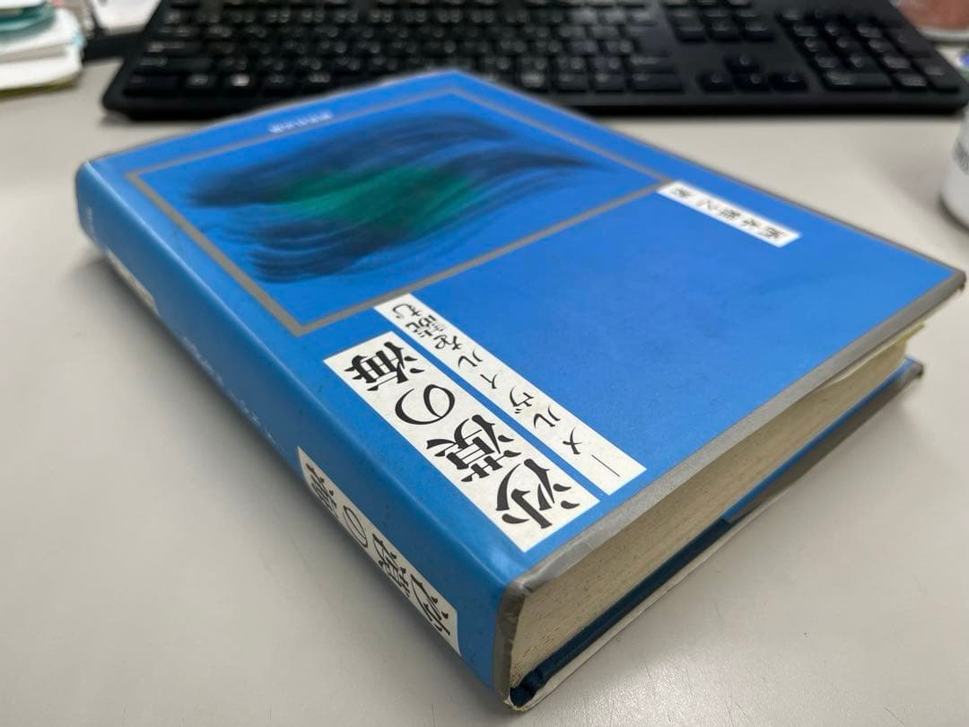 【極美本】砂漠の海〜メルヴィルを読む（酒本雅之著）