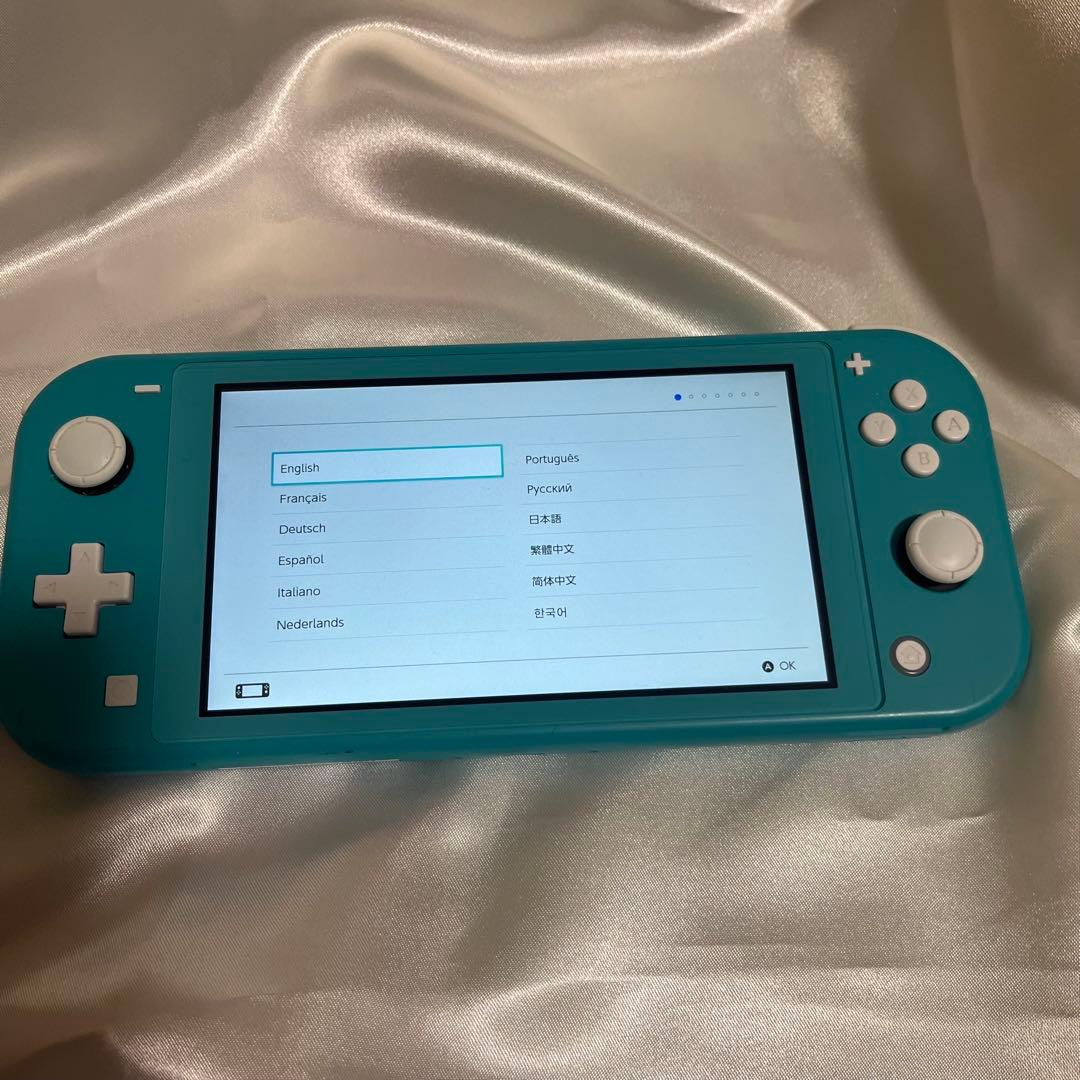 Nintendo switch lite 本体　ケースのみ　箱無し　ターコイズ