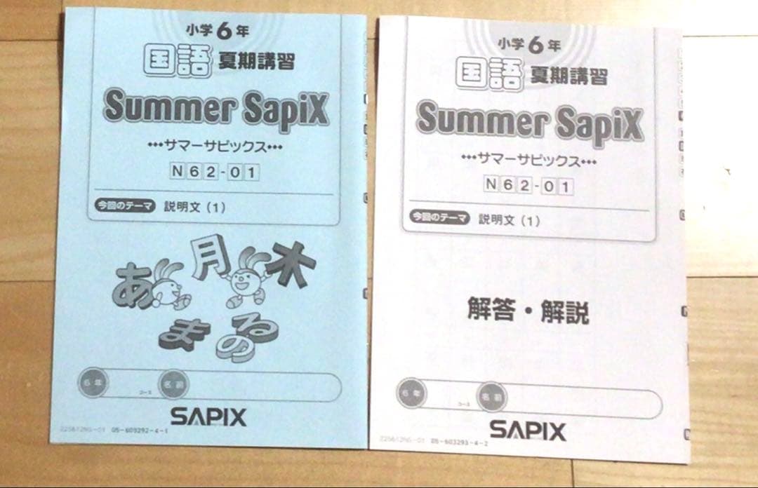 SAPIX6年生サマーサピックス全部